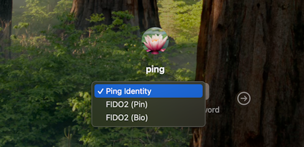 The custom authentication options available on the sign-on screen.