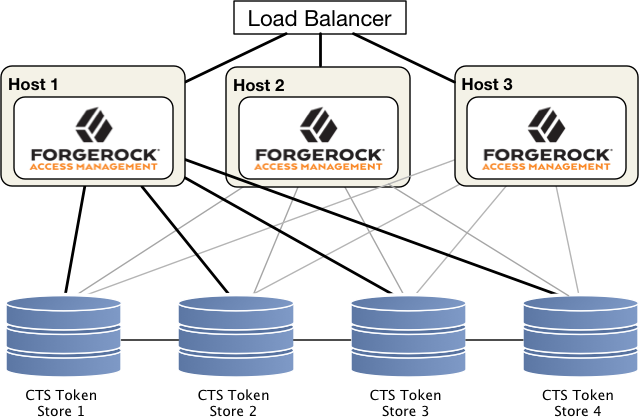 Depicts an Affinity Configuration for CTS.