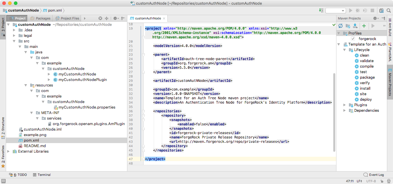 In this example, the archetype has created the basic structure required to create a custom authentication node.