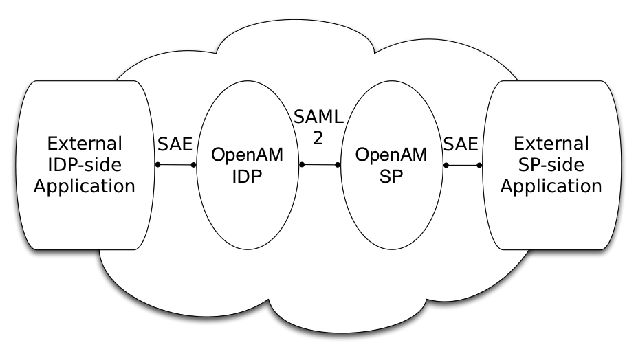 External applications use SAE to communicate with AM providers. The providers in turn use SAML 2.0 to communicate with other providers.
