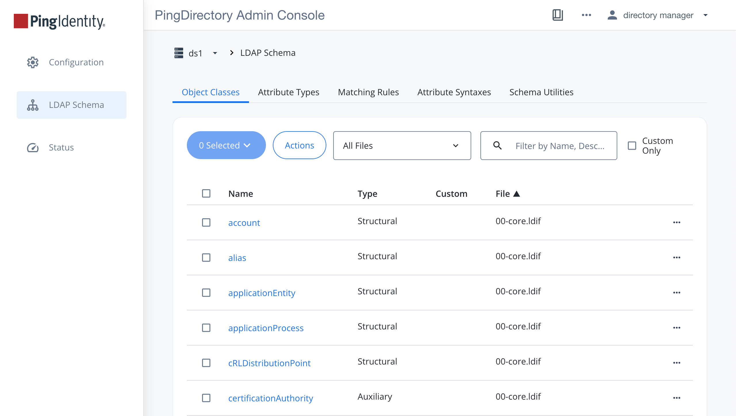 A screen capture of a sample LDAP schema editor Object Classes tab. The other tabs across the top are as described in the previous list, and the columns shown are titled Name, Type, Custom, and File.