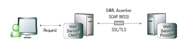 Diagram illustrating the WSS token transfer flow.