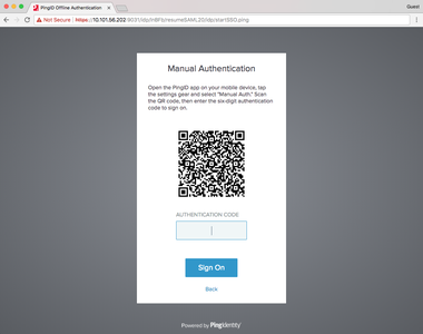 A screen capture of the Maunal Authentication message.