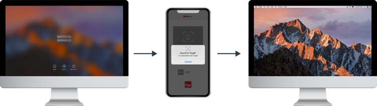 Diagram showing the flow signing on to your Mac and authenticating with PingID.