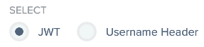 Screen capture of PingIntelligence JWT and Username Header options.