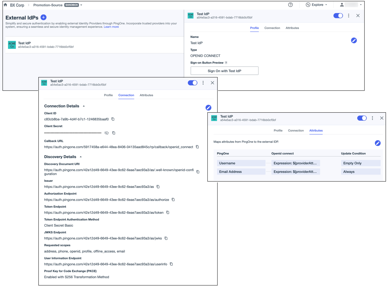 A series of screenshots showing the configuration of Test IdP in the Promotion-Source environment.