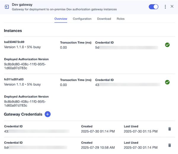 Screen capture of an Authorize gateway with multiple gateway instances connected.