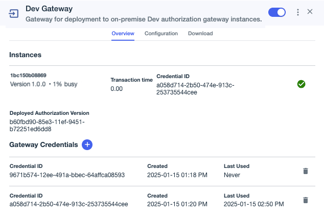 Screenshot showing version details for a healthy gateway instance.