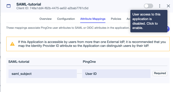 A screen capture of the application details panel showing the enable toggle switch