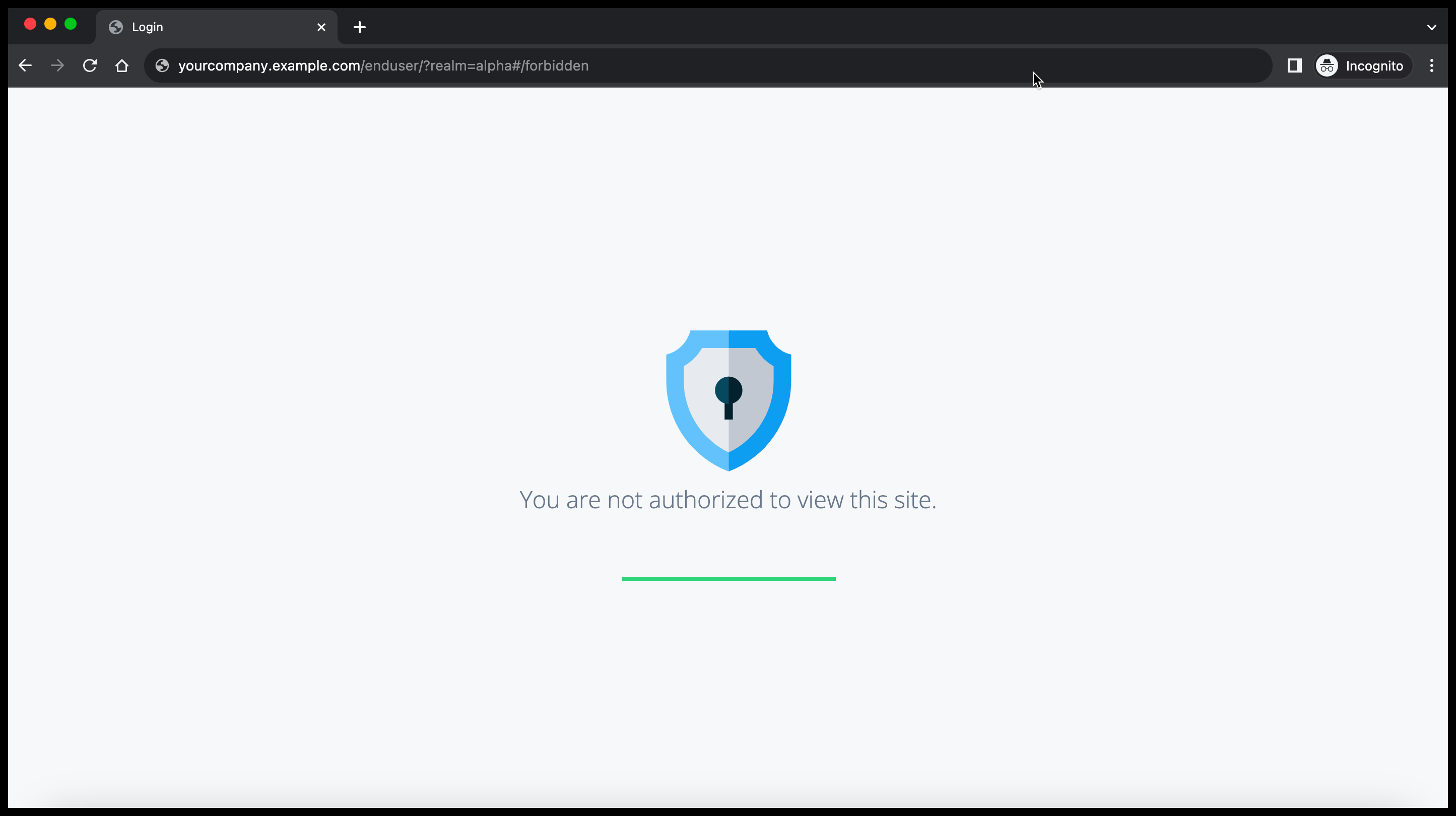 Screenshot of a browser showing the message 'You are not authorized to view this site'