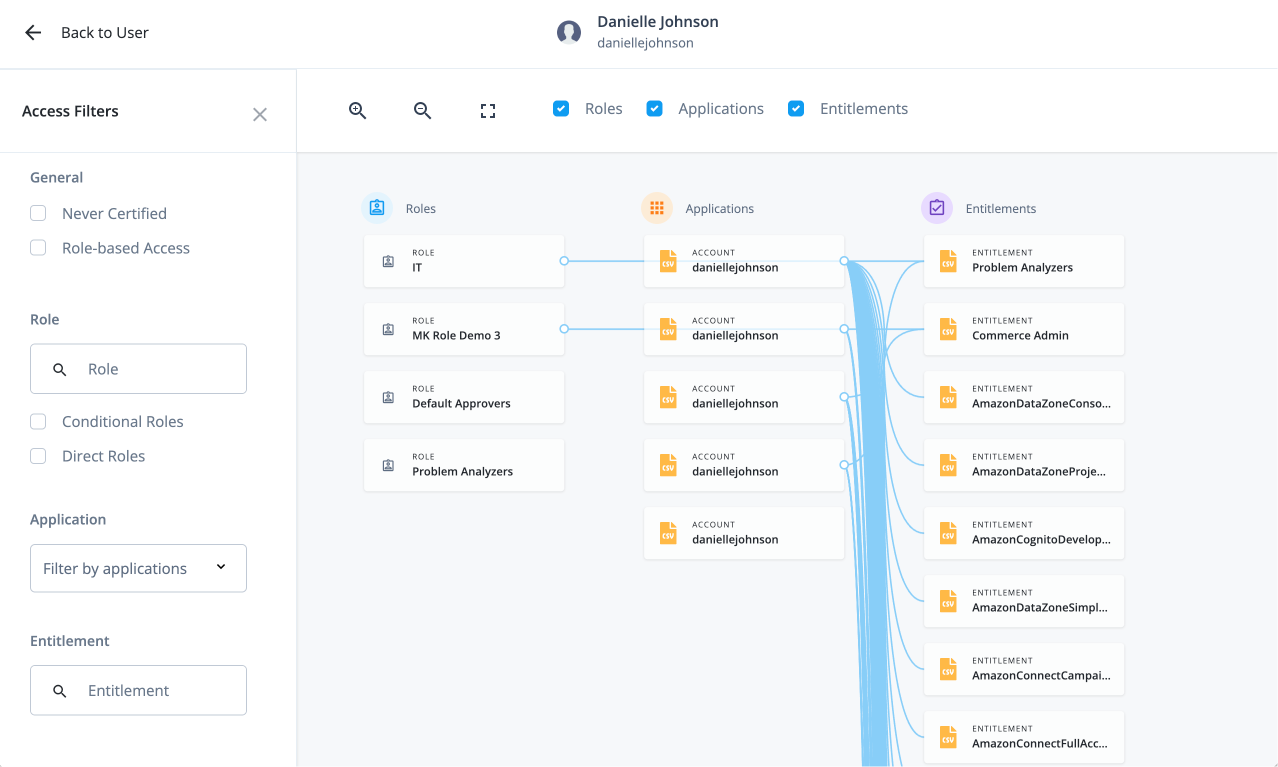 An example of the user-access graph that that displays the connections between a user’s access to roles, applications, and entitlements.