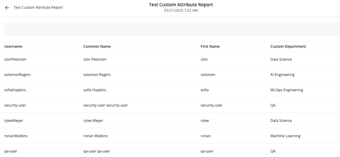 An example of a generated custom report using a custom attribute.
