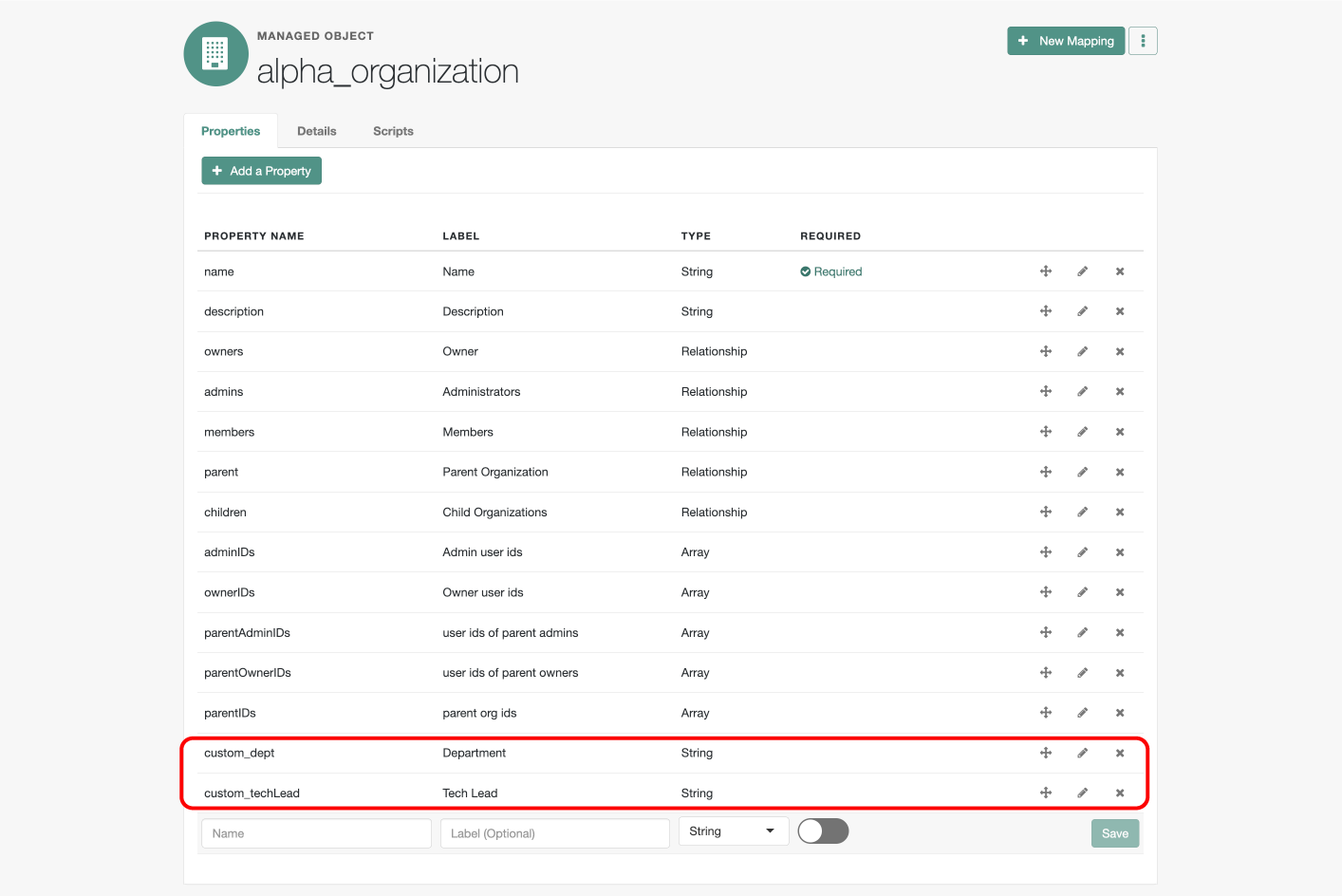 IDM native console displaying the custom attributes