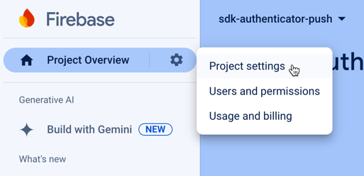 google firebase project settings en